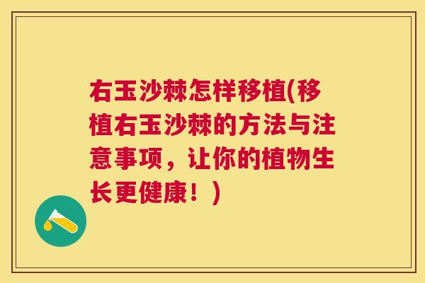 右玉沙棘怎样移植(移植右玉沙棘的方法与注意事项，让你的植物生长更健康！)