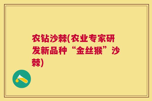 农钻沙棘(农业专家研发新品种“金丝猴”沙棘)