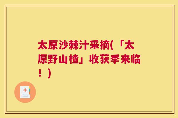 太原沙棘汁采摘(「太原野山楂」收获季来临！)