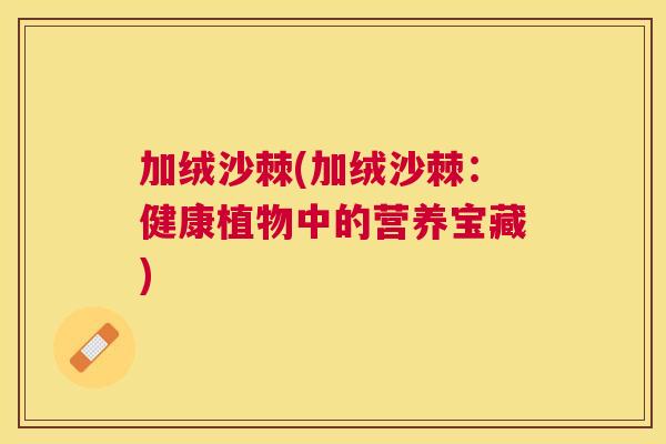 加绒沙棘(加绒沙棘:健康植物中的营养宝藏)