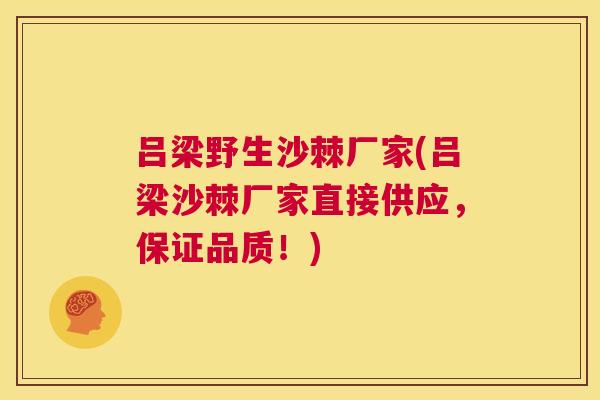 吕梁野生沙棘厂家(吕梁沙棘厂家直接供应，保证品质！)