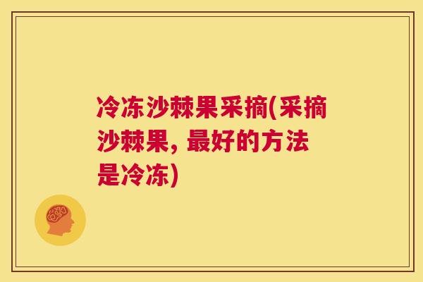 冷冻沙棘果采摘(采摘沙棘果, 最好的方法是冷冻)