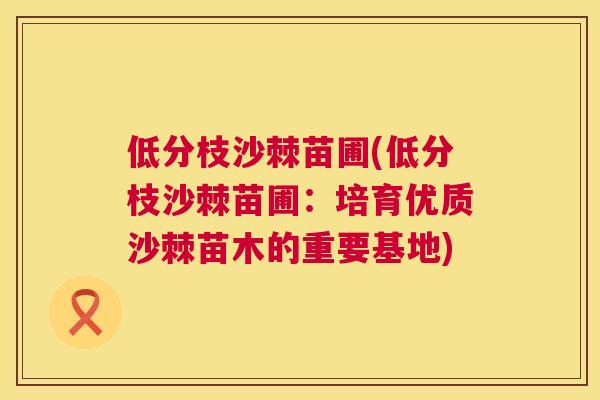 低分枝沙棘苗圃(低分枝沙棘苗圃:培育优质沙棘苗木的重要基地)