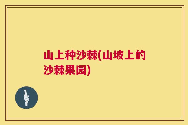 山上种沙棘(山坡上的沙棘果园)
