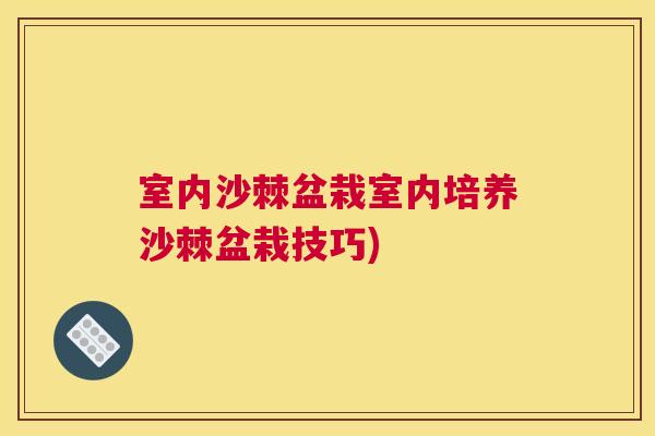 室内沙棘盆栽室内培养沙棘盆栽技巧)