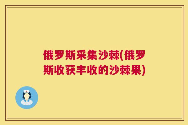 俄罗斯采集沙棘(俄罗斯收获丰收的沙棘果)