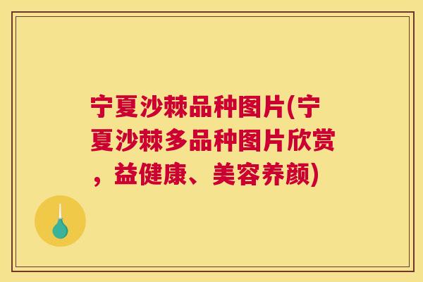 宁夏沙棘品种图片(宁夏沙棘多品种图片欣赏，益健康、美容养颜)