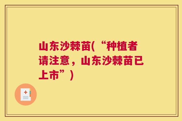 山东沙棘苗(“种植者请注意，山东沙棘苗已上市”)
