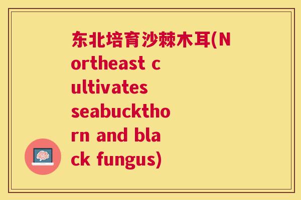 东北培育沙棘木耳(Northeast cultivates seabuckthorn and black fungus)