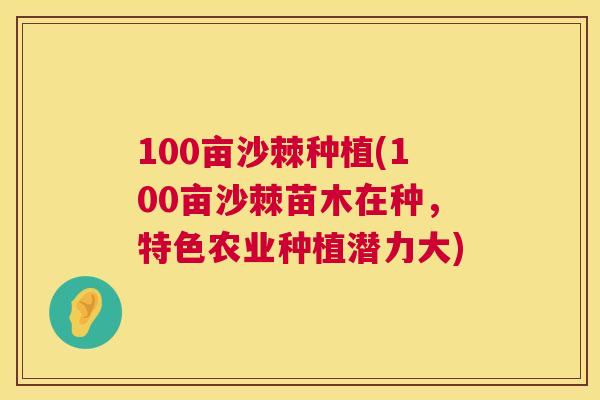 100亩沙棘种植(100亩沙棘苗木在种,特色农业种植潜力大) 100亩沙棘种植(100亩沙棘苗木在种,特色农业种植潜力大)