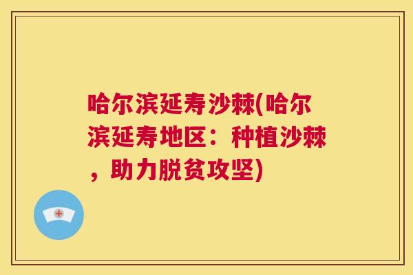 哈尔滨延寿沙棘(哈尔滨延寿地区:种植沙棘,助力脱贫攻坚)