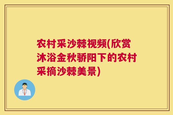 农村采沙棘视频(欣赏沐浴金秋骄阳下的农村采摘沙棘美景)