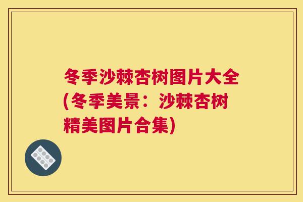 冬季沙棘杏树图片大全(冬季美景：沙棘杏树精美图片合集)
