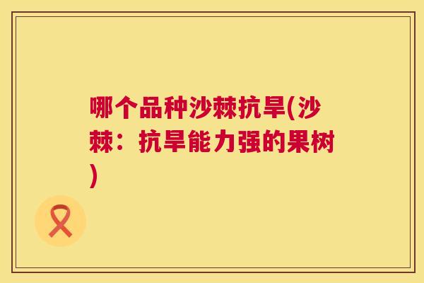 哪个品种沙棘抗旱(沙棘：抗旱能力强的果树)