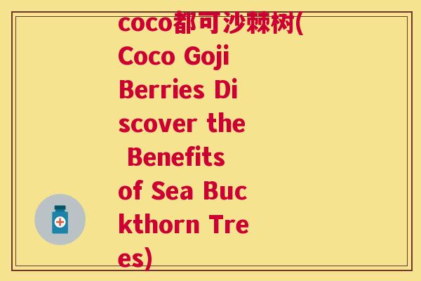 coco都可沙棘树(Coco Goji Berries Discover the Benefits of Sea Buckthorn Trees)