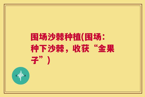 围场沙棘种植(围场:种下沙棘,收获“金果子”)