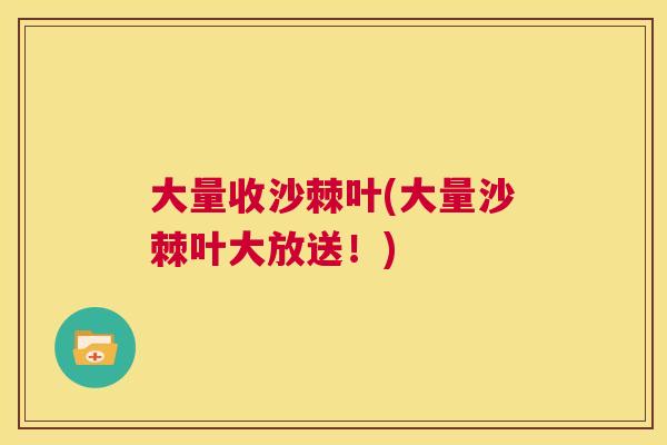 大量收沙棘叶(大量沙棘叶大放送！)