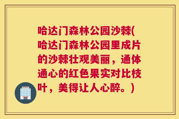 哈达门森林公园沙棘(哈达门森林公园里成片的沙棘壮观美丽,通体通心的红色果实对比枝叶,美得让人心醉。)