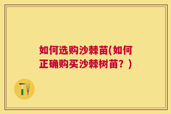 如何选购沙棘苗(如何正确购买沙棘树苗?) 如何选购沙棘苗(如何正确购买沙棘树苗?)