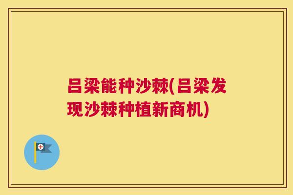 吕梁能种沙棘(吕梁发现沙棘种植新商机)