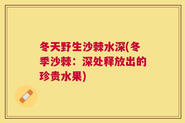 冬天野生沙棘水深(冬季沙棘：深处释放出的珍贵水果)