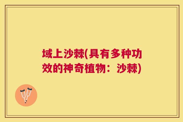 域上沙棘(具有多种功效的神奇植物：沙棘)