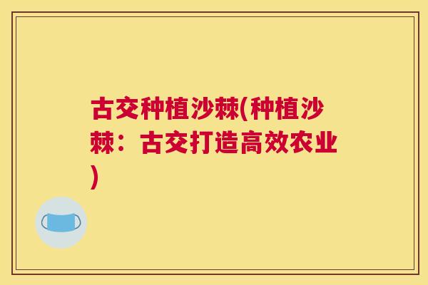 古交种植沙棘(种植沙棘:古交打造高效农业)