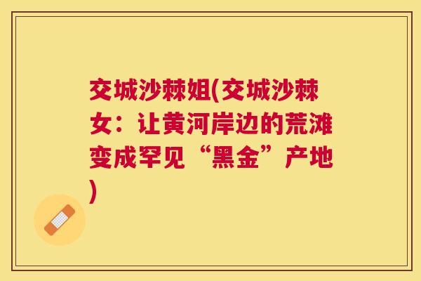 交城沙棘姐(交城沙棘女：让黄河岸边的荒滩变成罕见“黑金”产地)