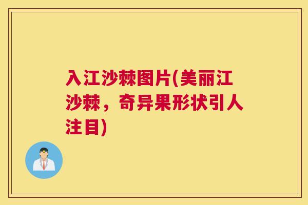 入江沙棘图片(美丽江沙棘，奇异果形状引人注目)