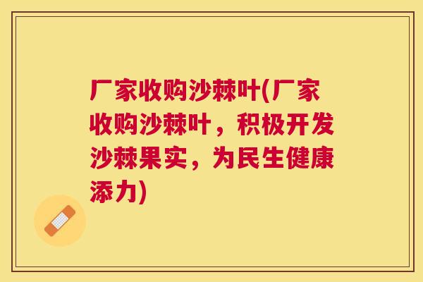 厂家收购沙棘叶(厂家收购沙棘叶,积极开发沙棘果实,为民生健康添力)
