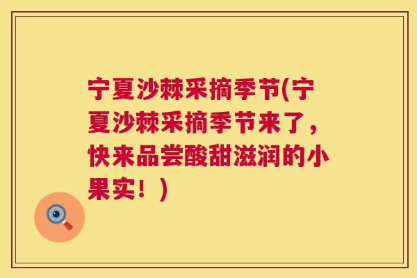 宁夏沙棘采摘季节(宁夏沙棘采摘季节来了，快来品尝酸甜滋润的小果实！)