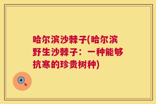 哈尔滨沙棘子(哈尔滨野生沙棘子：一种能够抗寒的珍贵树种)