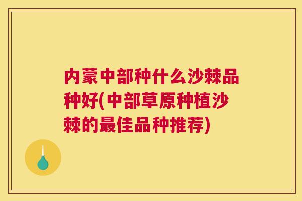 内蒙中部种什么沙棘品种好(中部草原种植沙棘的最佳品种推荐)