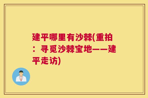 建平哪里有沙棘(重拍:寻觅沙棘宝地——建平走访)