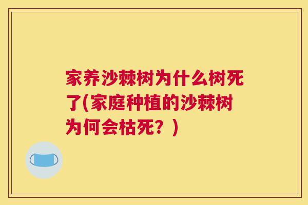家养沙棘树为什么树死了(家庭种植的沙棘树为何会枯死？)