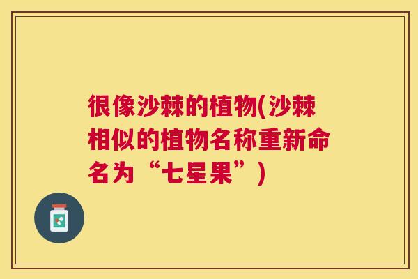 很像沙棘的植物(沙棘相似的植物名称重新命名为“七星果”) 很像沙棘的植物(沙棘相似的植物名称重新命名为“七星果”)
