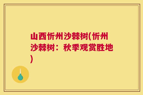 山西忻州沙棘树(忻州沙棘树：秋季观赏胜地)
