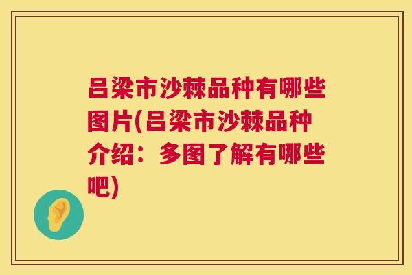吕梁市沙棘品种有哪些图片(吕梁市沙棘品种介绍：多图了解有哪些吧)