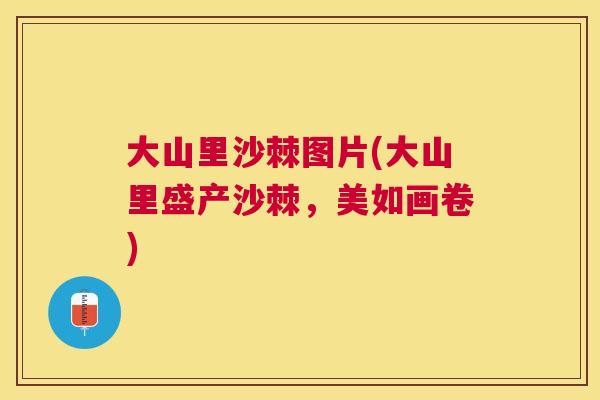 大山里沙棘图片(大山里盛产沙棘,美如画卷)