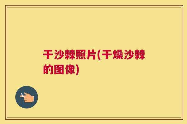 干沙棘照片(干燥沙棘的图像)