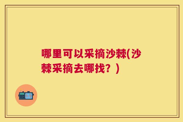 哪里可以采摘沙棘(沙棘采摘去哪找?)