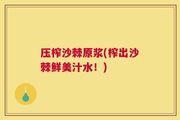 压榨沙棘原浆(榨出沙棘鲜美汁水！)