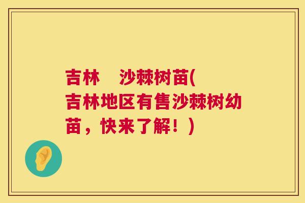 吉林   沙棘树苗(吉林地区有售沙棘树幼苗，快来了解！)