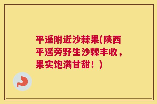 平遥附近沙棘果(陕西平遥旁野生沙棘丰收,果实饱满甘甜!)