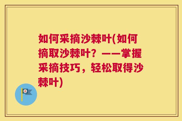 如何采摘沙棘叶(如何摘取沙棘叶?——掌握采摘技巧,轻松取得沙棘叶)
