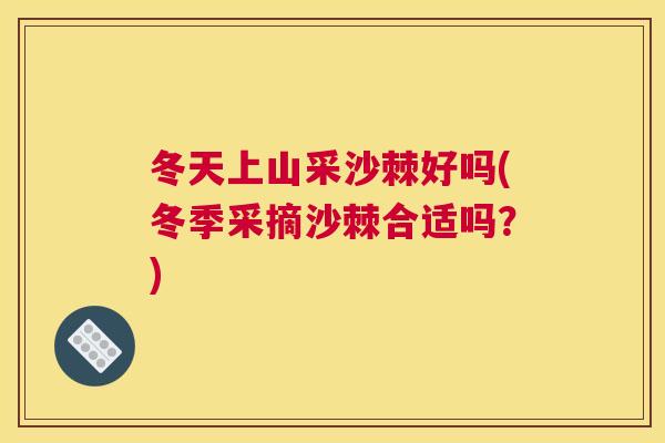 冬天上山采沙棘好吗(冬季采摘沙棘合适吗?)