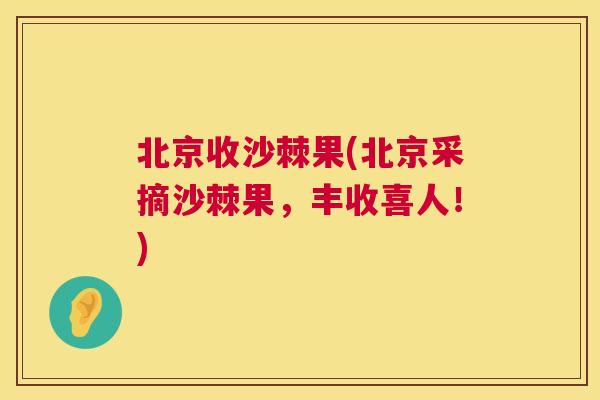 北京收沙棘果(北京采摘沙棘果，丰收喜人！)