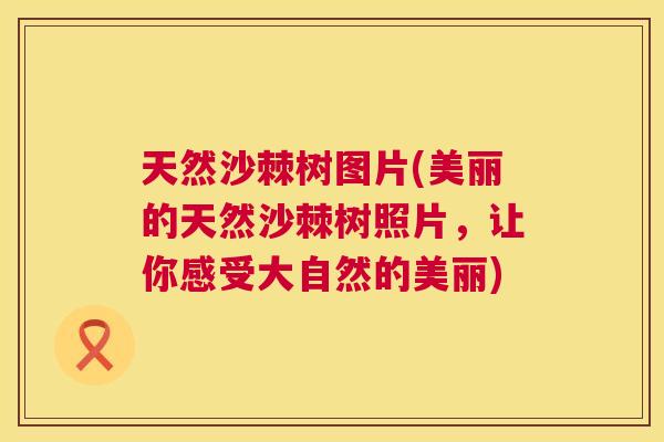 天然沙棘树图片(美丽的天然沙棘树照片，让你感受大自然的美丽)