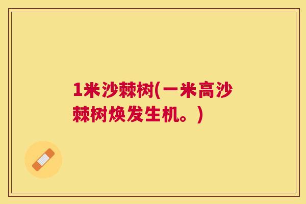 1米沙棘树(一米高沙棘树焕发生机。) 1米沙棘树(一米高沙棘树焕发生机。)