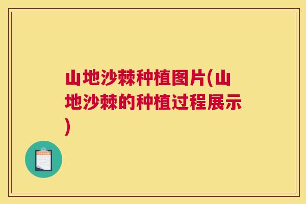 山地沙棘种植图片(山地沙棘的种植过程展示)